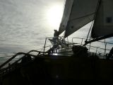 dansailer