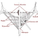 dziob11
