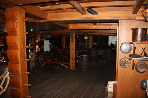 IMG_1558.jpg