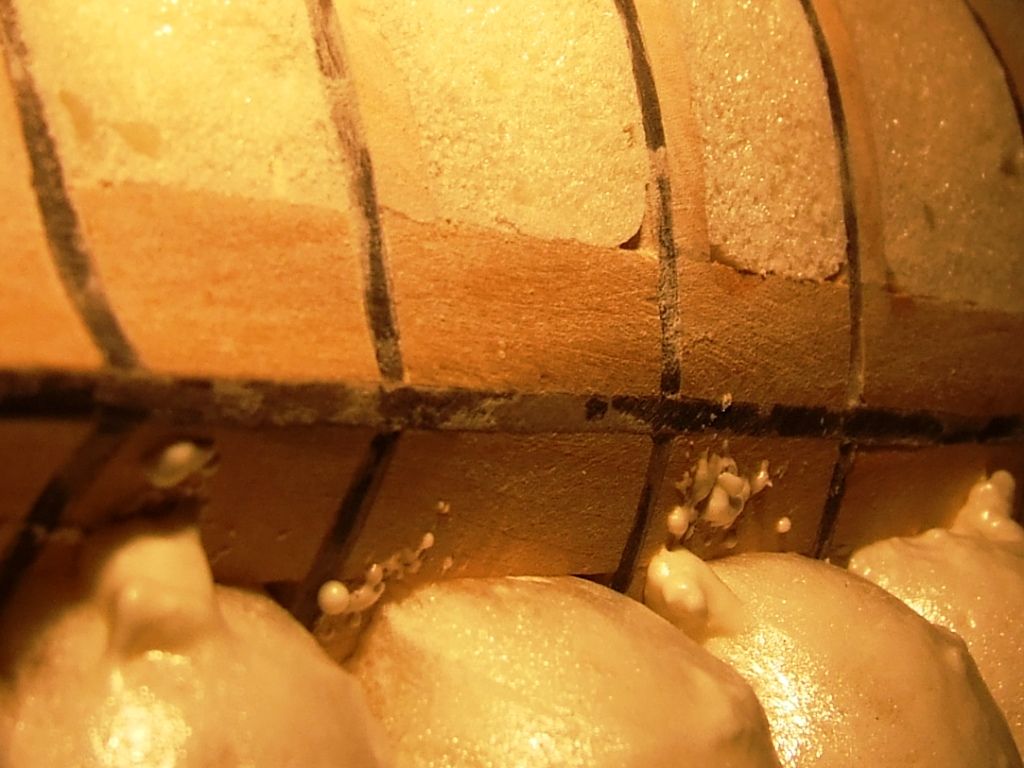DSCF7036.JPG