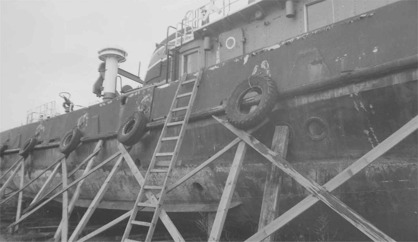 Image4.jpg