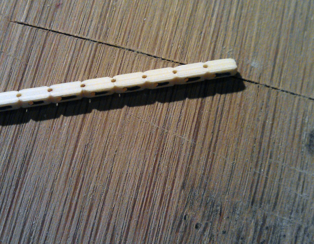 IMAG0583.jpg