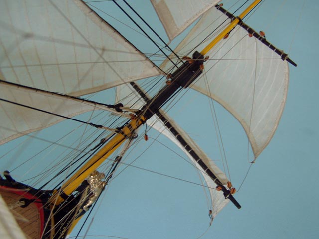 154.JPG
