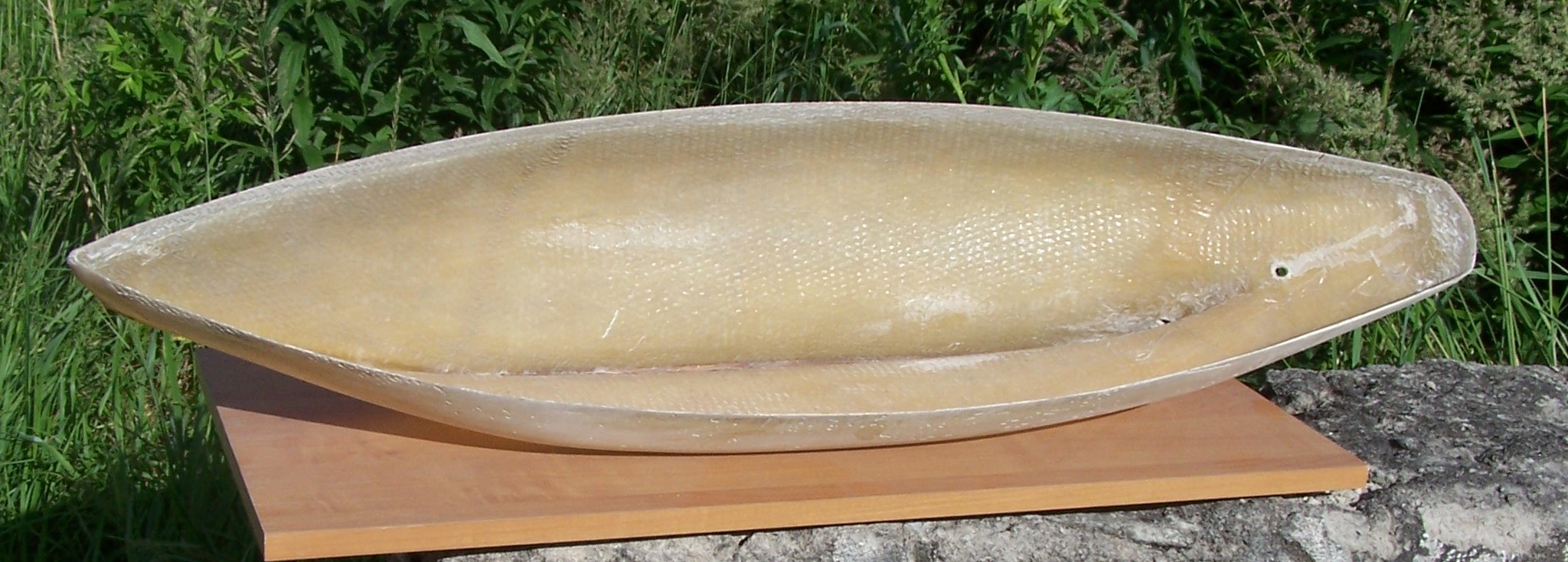 100_2086.JPG
