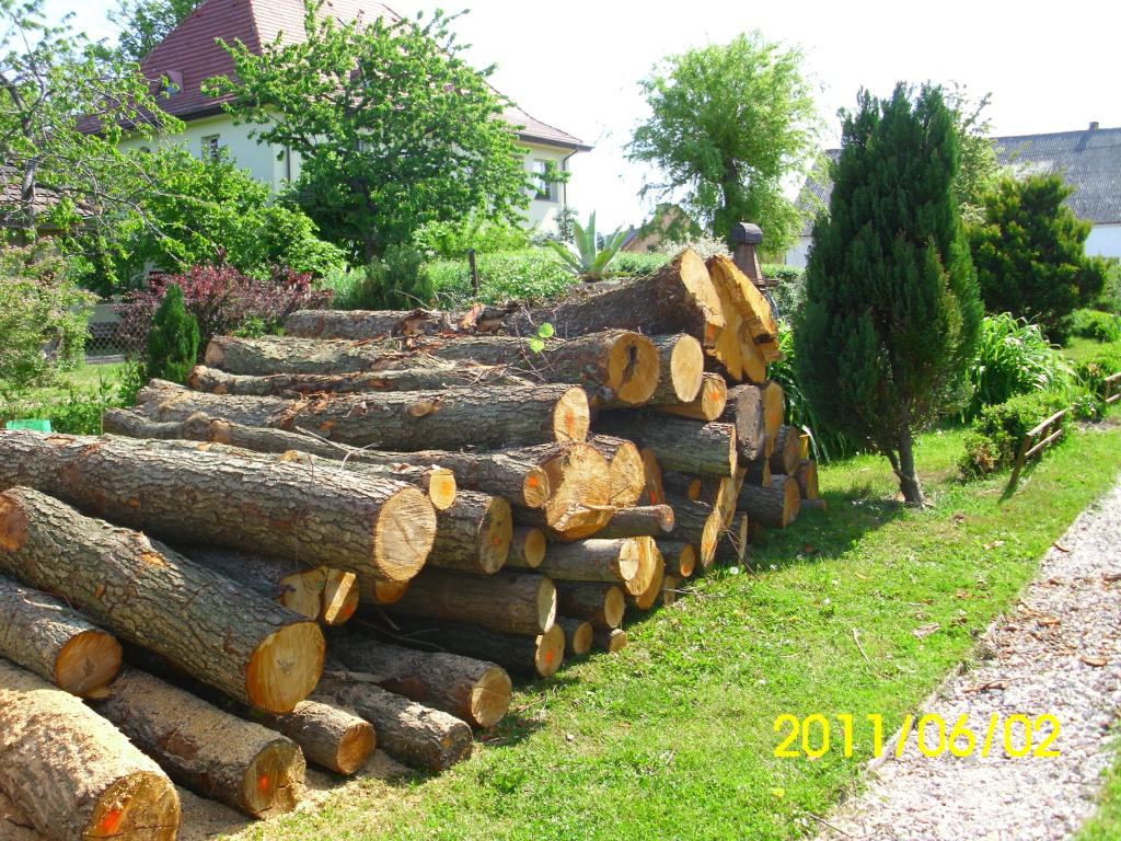 By pytań zbędnych  nie było<br />odpowiem Ci "czytelniku" ,<br />to wszystko jest na listewki<br />caluśkie dziesięć " kubików "