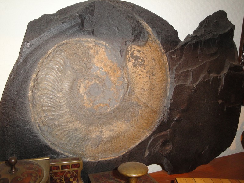 Kamienie 038.jpg