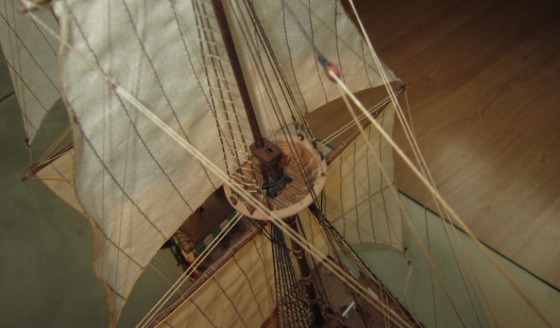 IMG_4469.JPG
