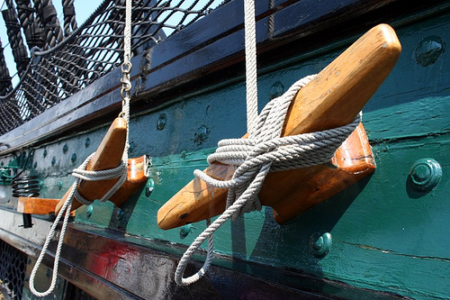 burta wewnętrzna.jpg