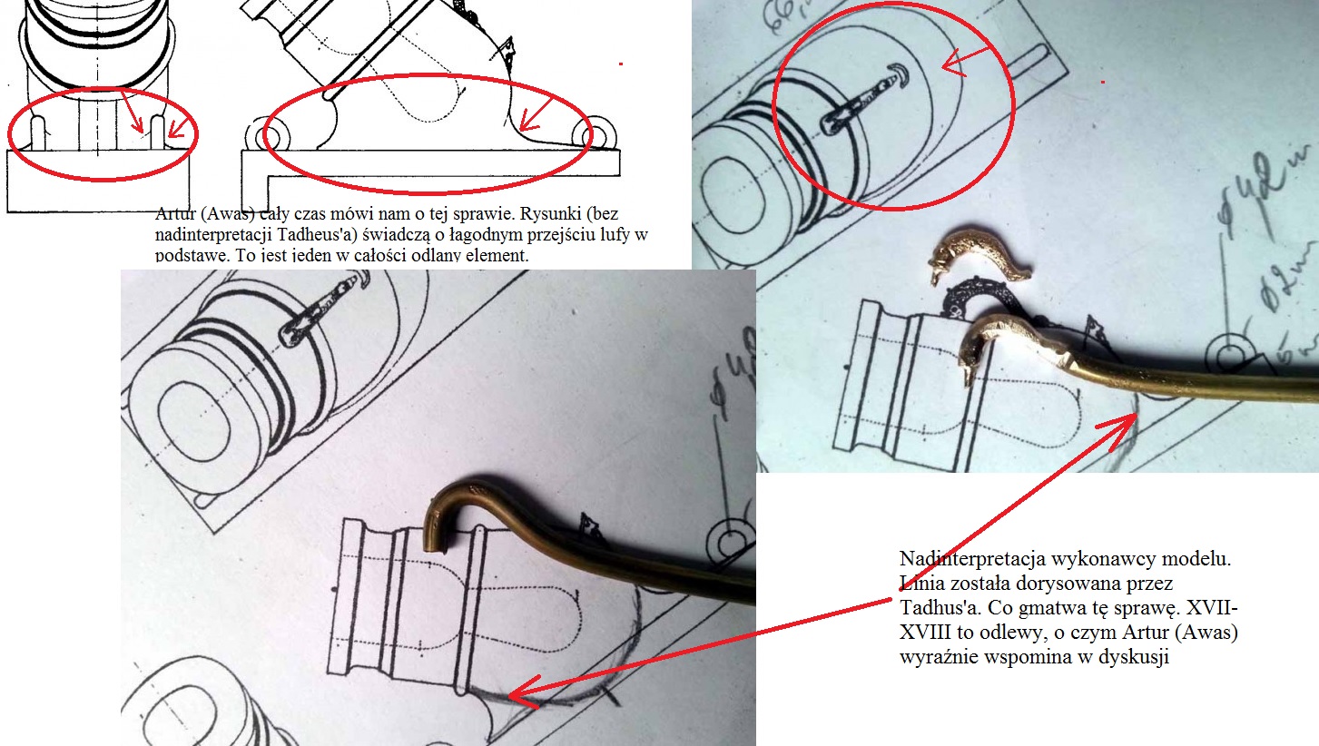 sporna_salamandra.jpg