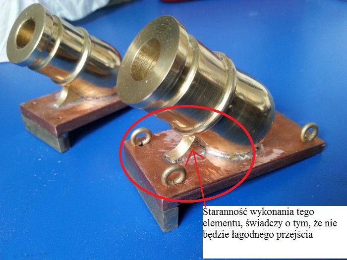 sporna_salamandra1.jpg