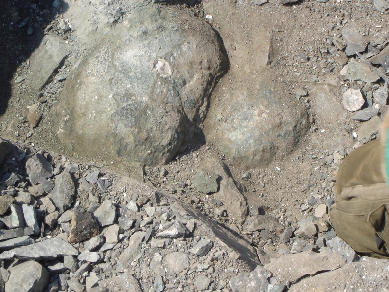 Mineralien3 103.jpg (207.13 KiB) Przejrzano 6960 razy tak wyglada zamkniety rodzynek albo jajko. Teraz tylko trzeba je otworzyc bez uszkodzenia zawartych w nim krysztalow. W wielu przypadkach druza jest albo pusta albo calkowicie zarosnieta kalcytem.