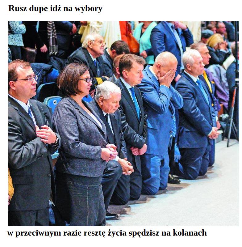 bezNazwy2(1).jpeg