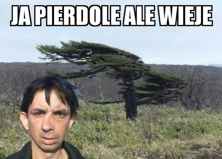 ale wieje.png
