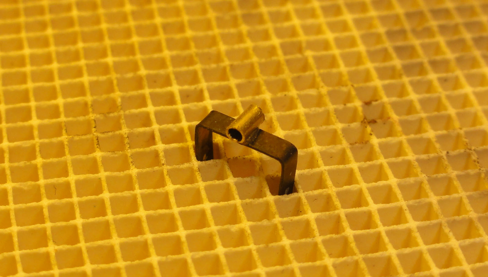 DSC02531.JPG