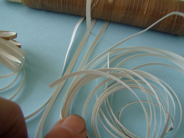 P1010256.JPG