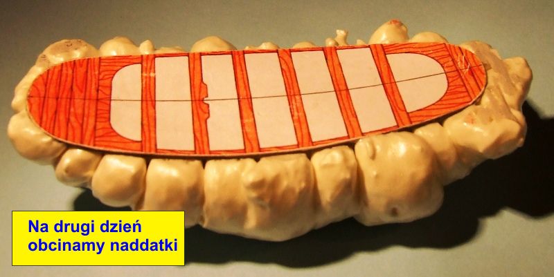 3DSCF5985.JPG