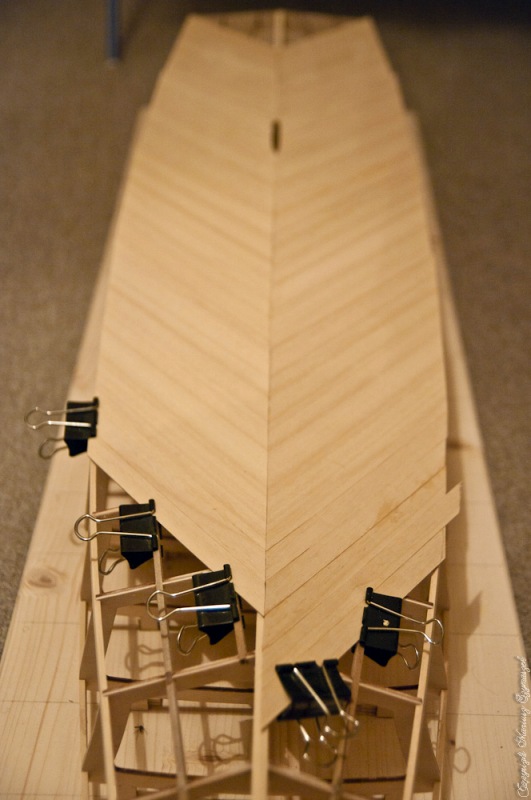 _PNT8887.jpg (106.4 KiB) Przejrzano 12720 razy pierwsza warstwa- Abachi