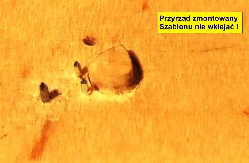1DSCF6187.JPG
